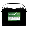 12v Lucas battery 12-LC-24 80ah Flooded Deep Cycle